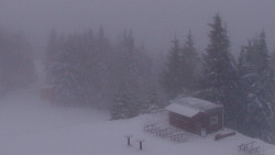 Chata Severka - Dolní Lomná