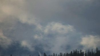 Snímek    29.10.2025 v 08:31