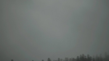 Snímek    3.11.2025 v 11:01