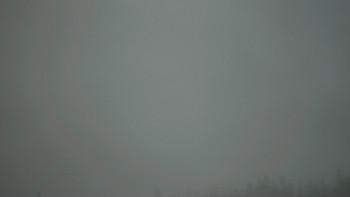 Snímek    3.11.2025 v 12:01