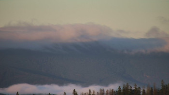 Snímek    4.11.2025 v 07:01