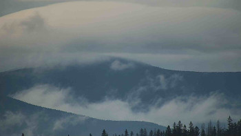 Snímek 8.11.2025 v 13:31