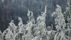 Chata Severka - Dolní Lomná
