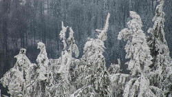 Chata Severka - Dolní Lomná