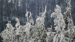 Chata Severka - Dolní Lomná