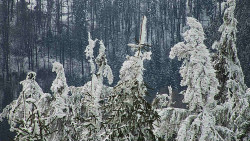 Chata Severka - Dolní Lomná