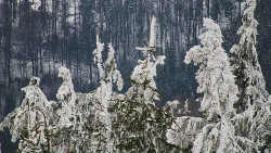 Chata Severka - Dolní Lomná