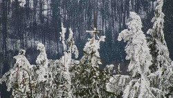 Chata Severka - Dolní Lomná