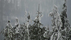 Chata Severka - Dolní Lomná