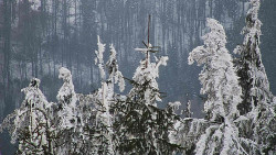 Chata Severka - Dolní Lomná