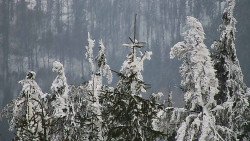 Chata Severka - Dolní Lomná