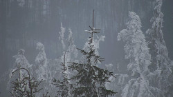 Chata Severka - Dolní Lomná