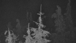 Chata Severka - Dolní Lomná