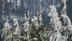 Chata Severka - Dolní Lomná