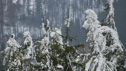 Chata Severka - Dolní Lomná