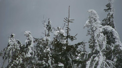 Chata Severka - Dolní Lomná