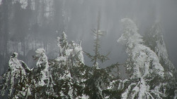 Chata Severka - Dolní Lomná