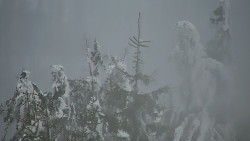 Chata Severka - Dolní Lomná