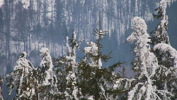 Chata Severka - Dolní Lomná