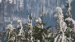 Chata Severka - Dolní Lomná