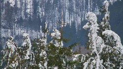 Chata Severka - Dolní Lomná