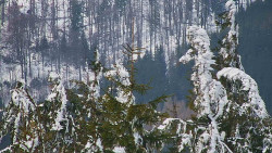 Chata Severka - Dolní Lomná