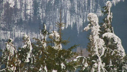 Chata Severka - Dolní Lomná