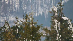 Chata Severka - Dolní Lomná