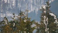 Chata Severka - Dolní Lomná