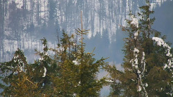 Chata Severka - Dolní Lomná