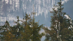 Chata Severka - Dolní Lomná