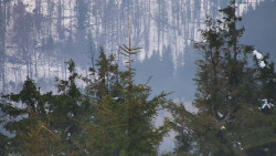 Chata Severka - Dolní Lomná