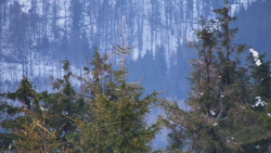 Chata Severka - Dolní Lomná