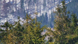 Chata Severka - Dolní Lomná