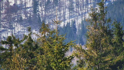 Chata Severka - Dolní Lomná