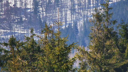 Chata Severka - Dolní Lomná