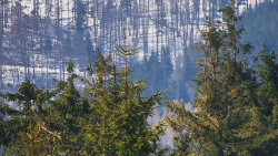 Chata Severka - Dolní Lomná