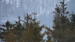 Chata Severka - Dolní Lomná