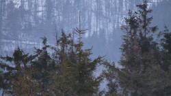 Chata Severka - Dolní Lomná