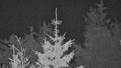 Chata Severka - Dolní Lomná