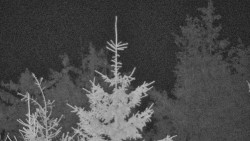 Chata Severka - Dolní Lomná