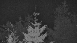 Chata Severka - Dolní Lomná