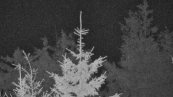 Chata Severka - Dolní Lomná