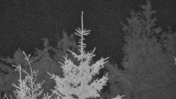 Chata Severka - Dolní Lomná