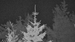 Chata Severka - Dolní Lomná