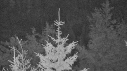 Chata Severka - Dolní Lomná