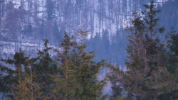 Chata Severka - Dolní Lomná