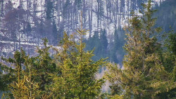 Chata Severka - Dolní Lomná