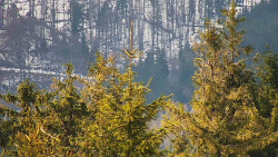 Chata Severka - Dolní Lomná