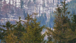 Chata Severka - Dolní Lomná